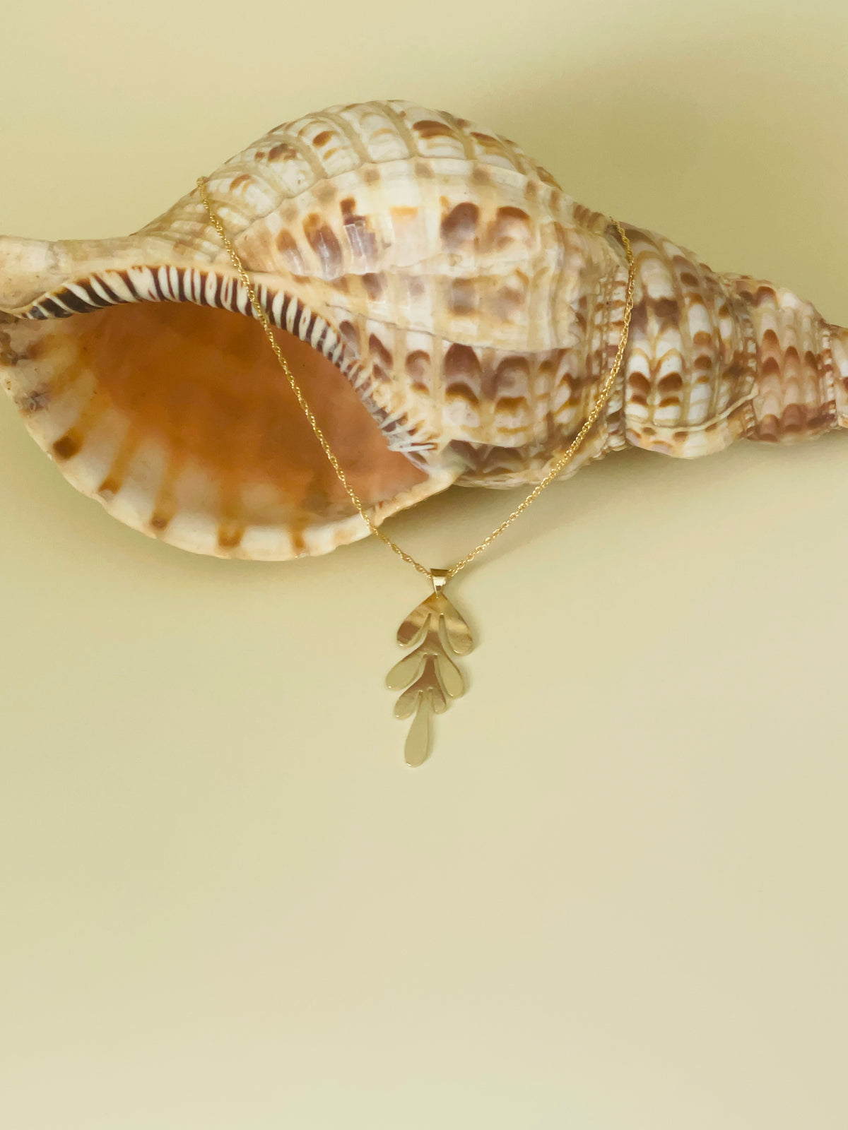 Collier Algue - Plaqué Or