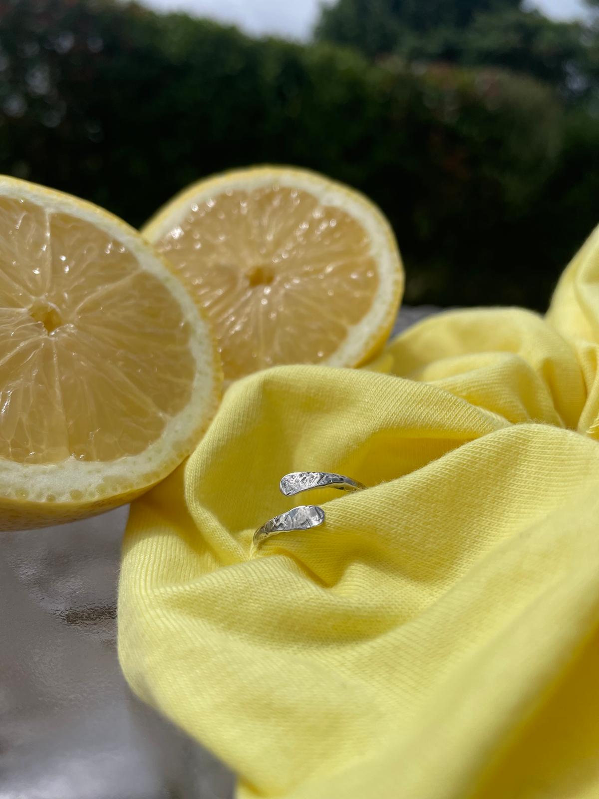 Bague Serpent Double Tête Plate - Argent